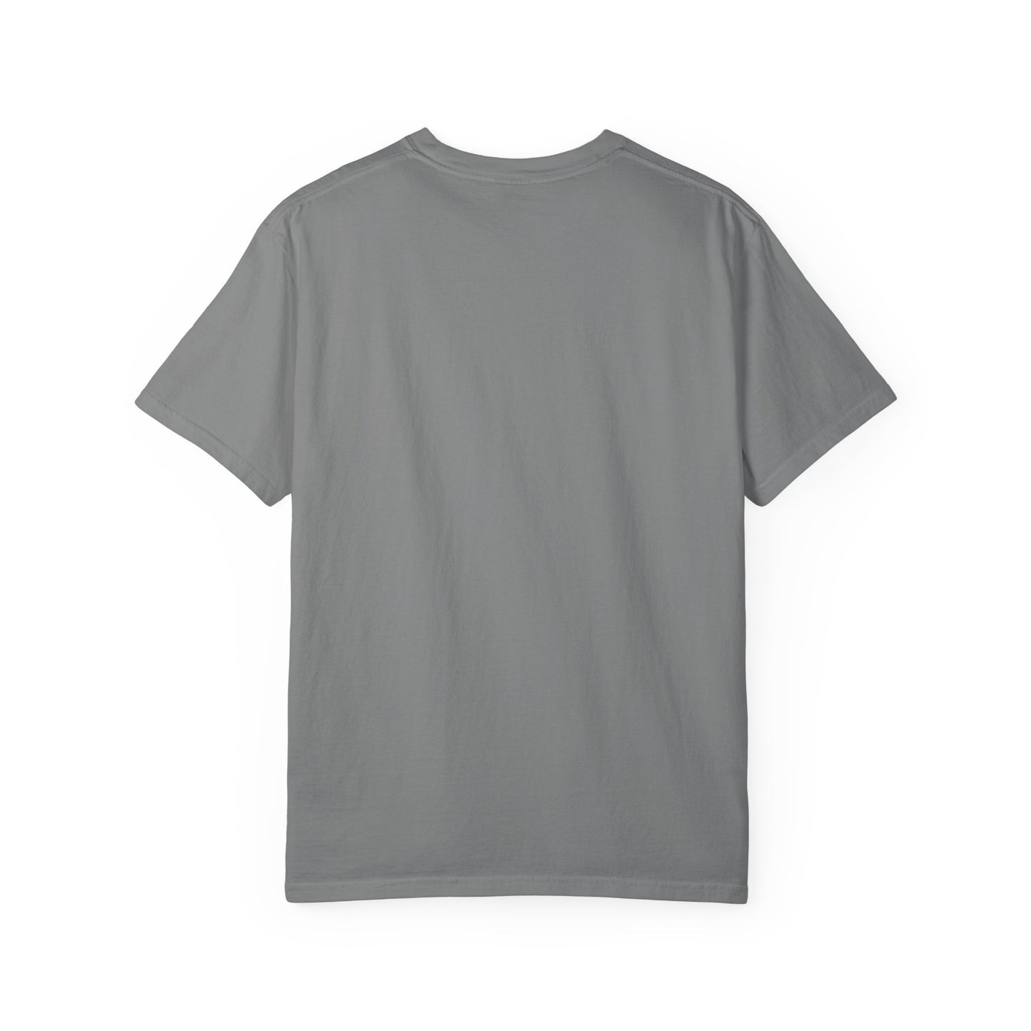Classic "Dink Responsibly" Comfort Colors T-Shirt